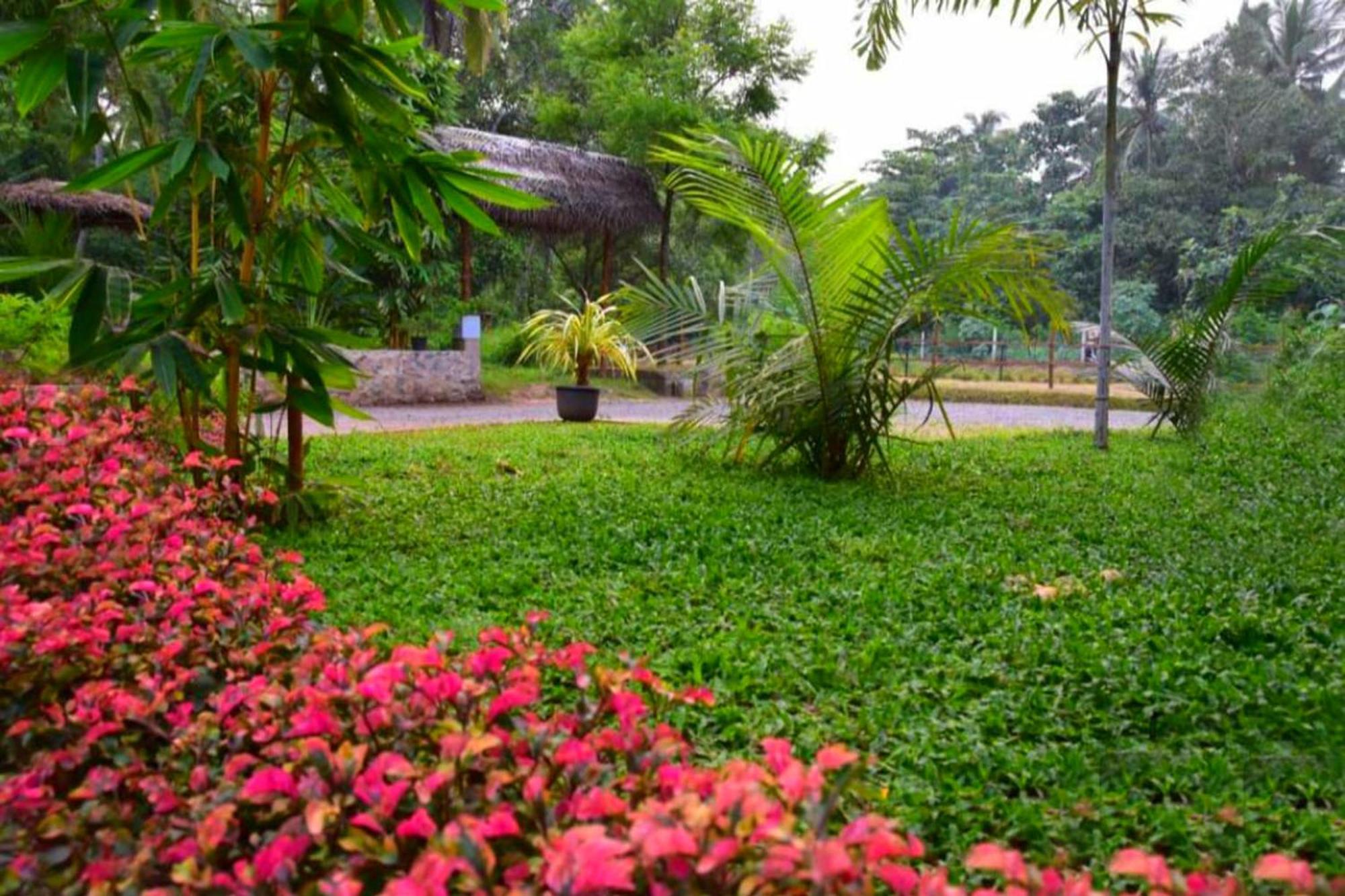 Green View Safari Paradise Hotel Удавалаве Екстериор снимка